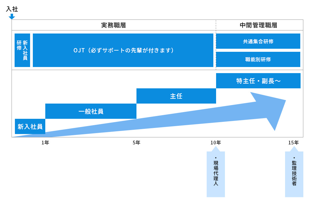 教育・キャリアスケジュール